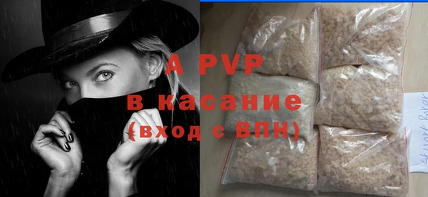 спиды Горняк