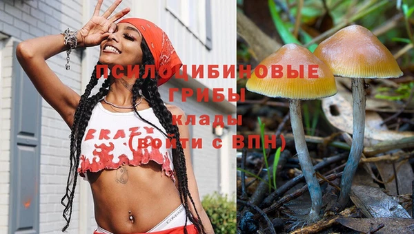 спиды Горняк