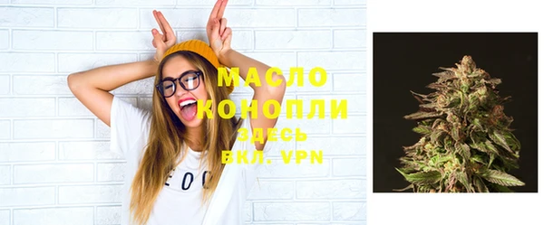 спиды Горняк