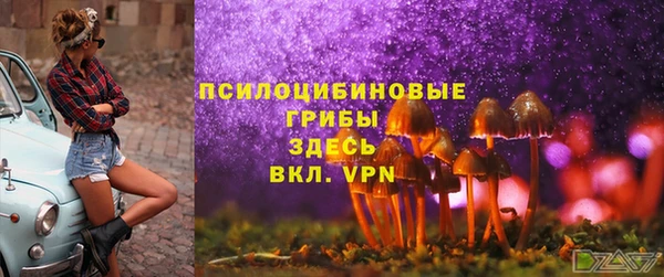 спиды Горняк