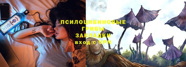 спиды Горняк