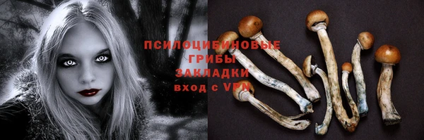 меф Горно-Алтайск
