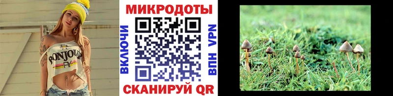 как найти закладки  Альметьевск  Галлюциногенные грибы GOLDEN TEACHER 